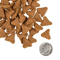 Fromm - Ancient Grains Adult Dry Dog Food – Supports Digestion,  Lean Muscle & Complete Nutrition – 5 lbs Bag