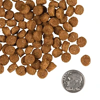 Fromm - Puppy Dry Dog Food - Supports Growth,  Digestion & Lean Muscle - 5 lbs Bag
