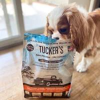 Tucker's - Frozen Dog Food - Pork,  Lamb,  & Pumpkin