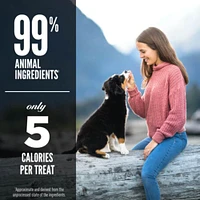Orijen - Freeze Dried Dog Treat - High Protein Training Reward