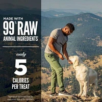 Orijen - Freeze Dried Dog Treat - High Protein Training Reward - Tundra Recipe