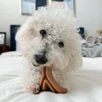 Tall Tails - Antler Chew Dog Toy - Long Lasting & Bacon Scented for Interactive Play