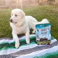 Tucker's - Frozen Dog Food - Pork,  Duck,  & Pumpkin