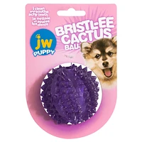 JW - Puppy Toy - Bristl-ee Cactus Ball