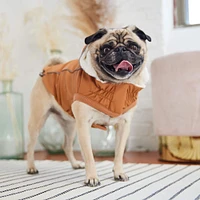 GF Pet - Insulated Pet Raincoat - Hazel