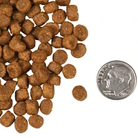 Fromm - Dry Cat Food - Chicken À La Veg® Recipe