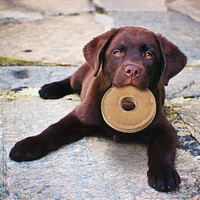 Spot - Dog Chew Toy - Leather Chunky Ring