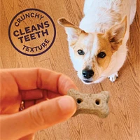 - Crunchy Dog Treats - Natural High Protein Biscuits - P-Nuttier Recipe - Mini