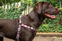 Nylon Dog Harness