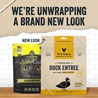 Vital Essentials - Raw Cat Food - Duck Mini Patties