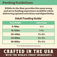 Primal - Kibble in the Raw Dog Food - Premium Freeze Dried Raw Nutrition with Whole Ingredients - Chicken Recipe