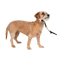 Gentle Leader® No Pull Dog Headcollar – Adjustable