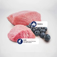 Farmina - Dry Dog Food - Lamb & Blueberry Mini Adult
