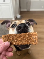 - Dog Treat - Salmon & Black Bean Jerky