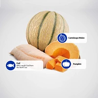 Dry Puppy Food - Cod, Pumpkin