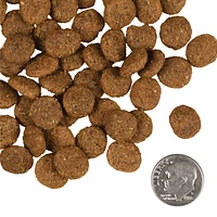 Fromm - Reduced Activity Senior Dry Dog Food - Supports Digestion,  Joint Health & Healthy Weight - 5 lbs Bag