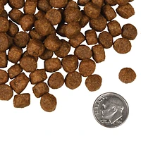Fromm - Dry Dog Food - Salmon Tunalini® Recipe