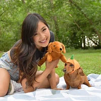 Patchwork - The Weens Plush Dog Toy – Soft & Long Lasting with Removable Pumpkin Hat – Kinda Punny