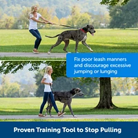 Gentle Leader® No Pull Dog Headcollar – Adjustable