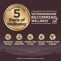 Wellness - Dry Dog Food – High Protein,  Grain Free Natural Diet – Original Turkey & Chicken Recipe