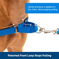 PetSafe - Easy Walk Harness - Black
