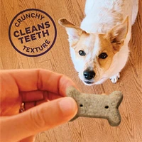Crunchy Dog Treats - Natural High Protein Biscuits - Original Mix