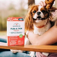 Wondercide - Flea & Tick Dog Collar - Natural Plant Based Protection with Essential Oils - Small to Medium Dogs