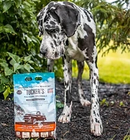 Tucker's - Frozen Dog Food - Pork,  Lamb,  & Pumpkin