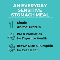 - Dry Dog Food - Limited Ingredient Bland Diet Beef and Brown Rice Recipe with Pumpkin