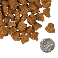 Fromm - Dry Dog Food - Zealambder® Recipe