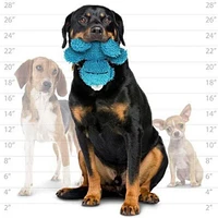 MIGHTY® - Plush Dog Toy - Soft Microfiber Fabric with Squeaky Ball Core for Tug & Fetch