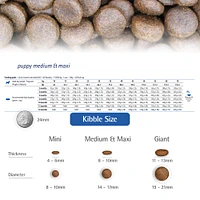 - Dry Puppy Food - Lamb & Blueberry Med/Maxi Puppy