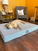 - Orthopedic Dog Bed - Memory Foam