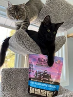 Tucker's - Cat Food - Turkey & Pumpkin