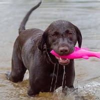 Ruff Dawg - Retrieving Dog Toy - Floating Rubber Fish for Water & Fetch Play - Flying Fish