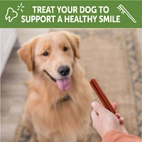 WHIMZEES - Dog Dental Treat - Stix Natural Grain Free Dental Chews