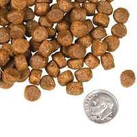 Fromm - Dry Dog Food - Surf & Turf Recipe