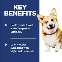 Science Diet - Adult Dry Dog Food Small Bites – Lamb & Brown Rice Recipe – Supports Skin & Digestive Health