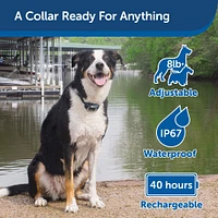 PetSafe - 300-Yard Remote Dog Trainer - Waterproof E-Collar