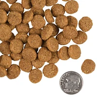 Fromm - Dry Dog Food - Large Breed Adult - Chicken Recipe