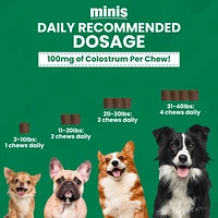 Nootie - Small Dog Chew - Allergy Relief