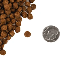 - Dry Cat Food - Trout & Whitefish Recipe