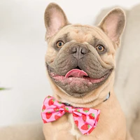 Huxley & Kent - Bow Tie