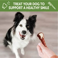 WHIMZEES - Dog Dental Treat - Brushzees Natural Grain Free Dental Chews