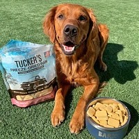 Tucker's - Freeze Dried Dog Food - Salmon & Pumpkin