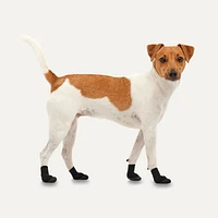 Dog Boots - All Season Terrain