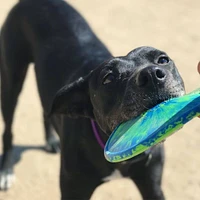 Ruff Dawg - Durable Retrieving Dog Toy - Rubber Flying Disc for Catch & Fetch