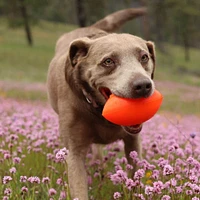 Ruff Dawg - Durable Retrieving Dog Toy - Tough & Bouncy for Heavy Play - Football XL