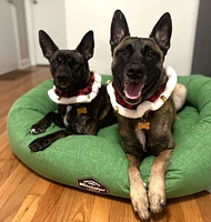 Huxley & Kent - Plush Pet Collar - Buffalo Plaid