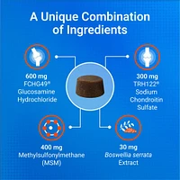 Cosequin - Soft Chews for Dogs - Joint Support Supplement with Glucosamine for Mobility & Comfort